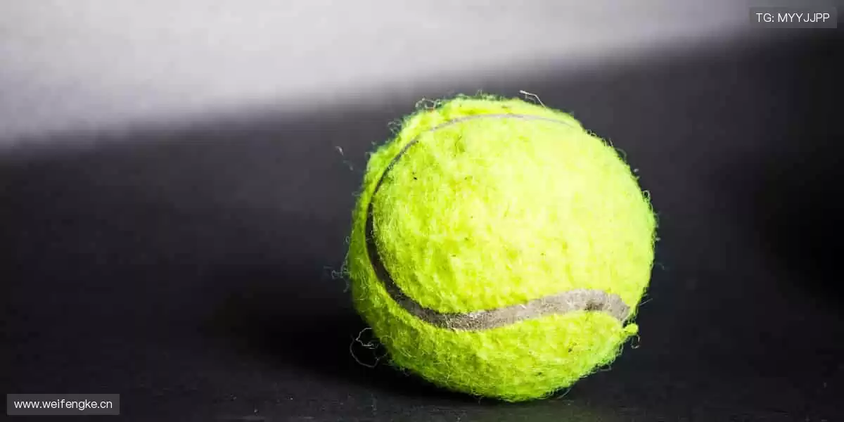 📺 实时解说，带你沉浸式感受赛场心跳！